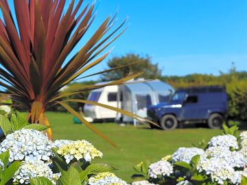 Grass pitches
