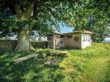 Cabin under the trees