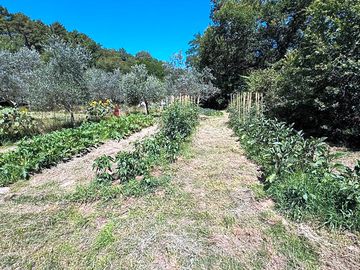 Organic garden
