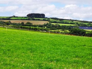 View from the pitches