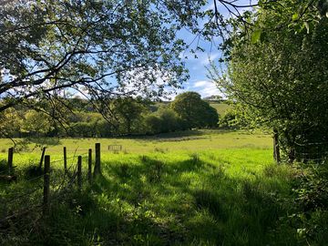 Grass camping field
