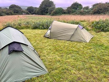 Our pitch