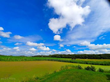 Views from the site