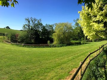 Plenty of grassy space