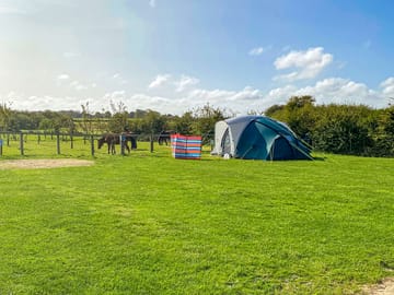 Visitor image of pitch on site