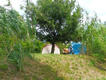 Tent pitch