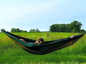 Hang je hangmat tussen twee bomen
