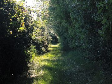 One of the paths on the site