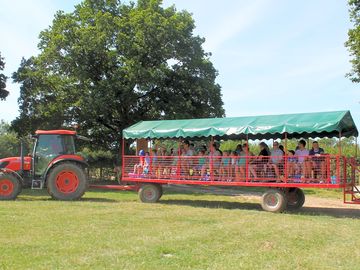 Tractor rides at fishers farm