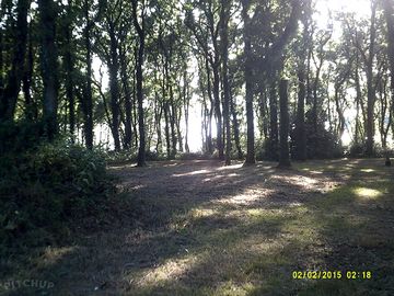 Woodland camping