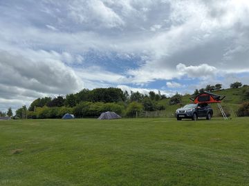 Grass pitches sheltered by trees