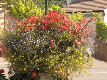 Summer baskets