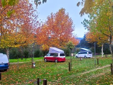 Pitches partially shaded by trees