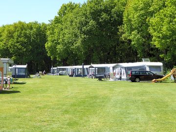 Spacious pitches surrounded by trees