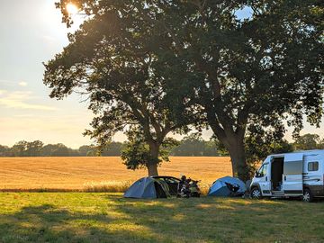 Pitch under the shade of ancient oak trees