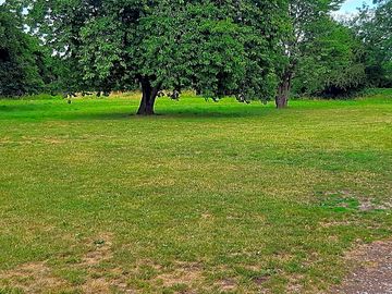 Pitching area