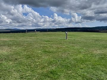 Grass pitches