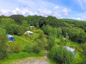 Pitches surrounded by trees