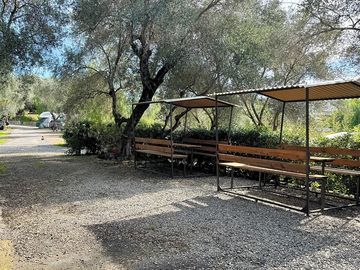 Barbecue/picnic area