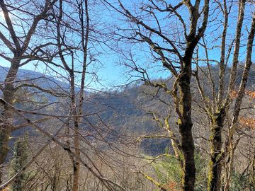 Gorgeous views all around