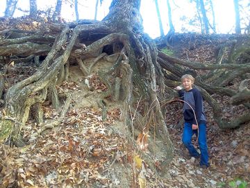 Get lost in nature