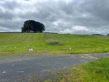 View of the site