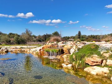 The bio lake