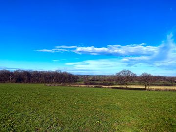 The meadow