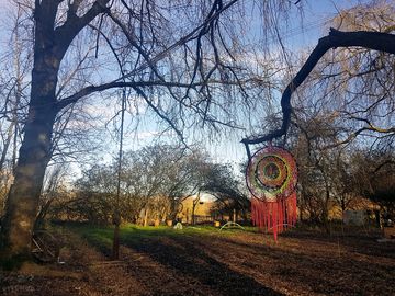 Rope swing and tree art