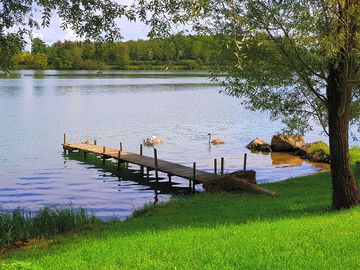 Dip your feet in the water while watching the swans