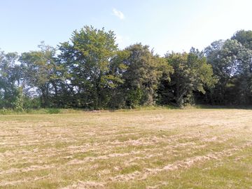 Camping field - the russets