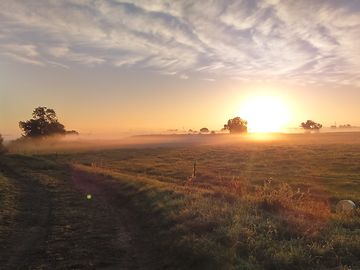 Gayton farm
