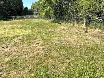 Spacious grass pitches, sheltered and a great sunny spot