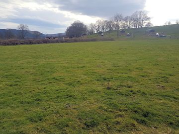 The camping field