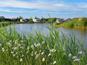 The view in springtime