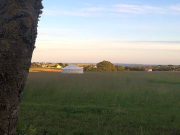 Lots of space around the site