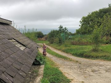 Access track to the farm