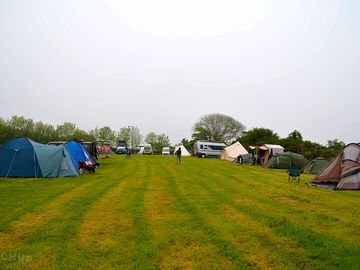 Grass camping field