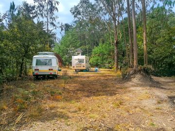 Pitches surrounded by trees