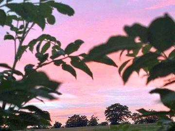 Stunning sunsets