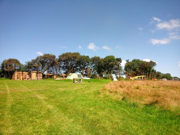 A busy day on site