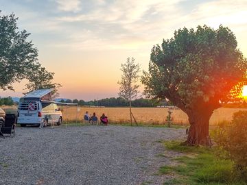 Pitches with sunset views
