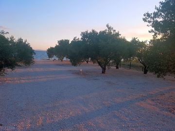 Spacious pitches with trees for shade