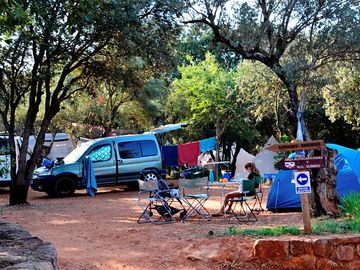 Pitch under the trees