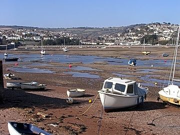 Shaldon