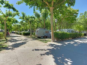 Pitches under the trees