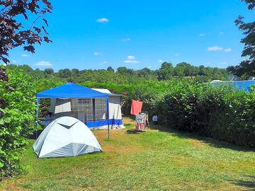 Tent pitch surrounded by hedges for privacy