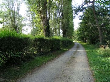 Around the site