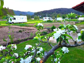 Camping near the gardens
