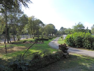 Road through the site